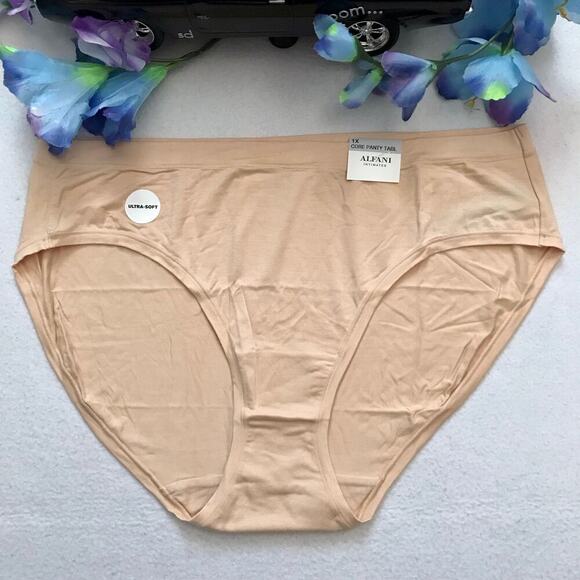 Alfani Intimates NWT Ultra Soft 2 Hipster Panties Bundle Women 1X - Picture 5 of 12